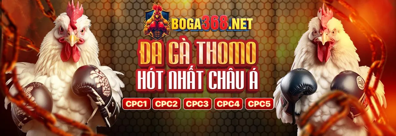 Nhóm chuyên gia làm việc tại VN88 link mới